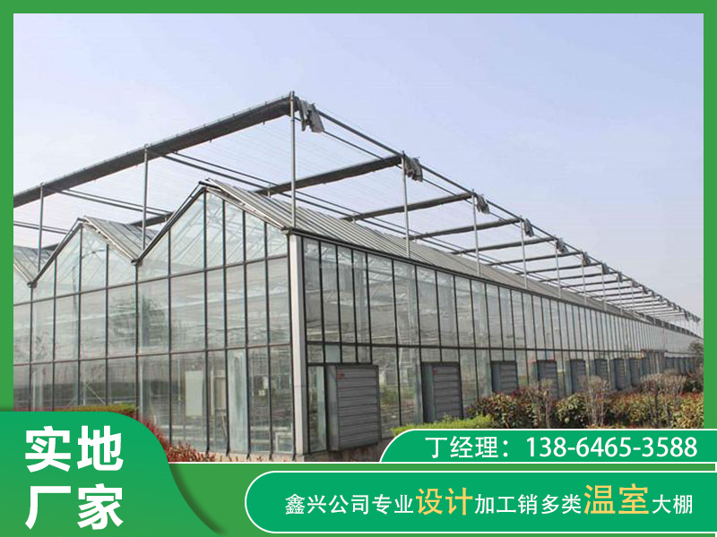 陽(yáng)光板溫室